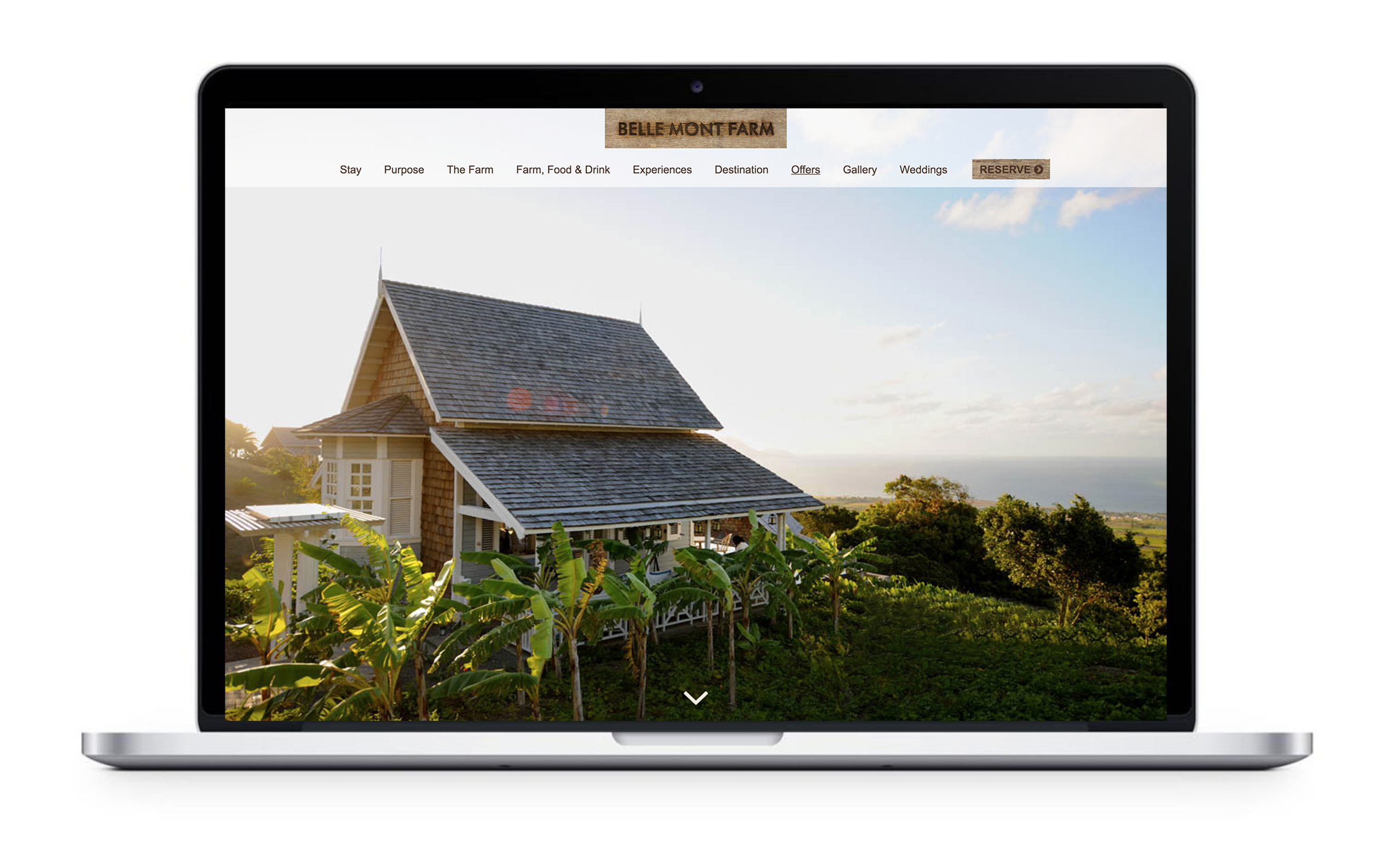BELLLE MONT FARM