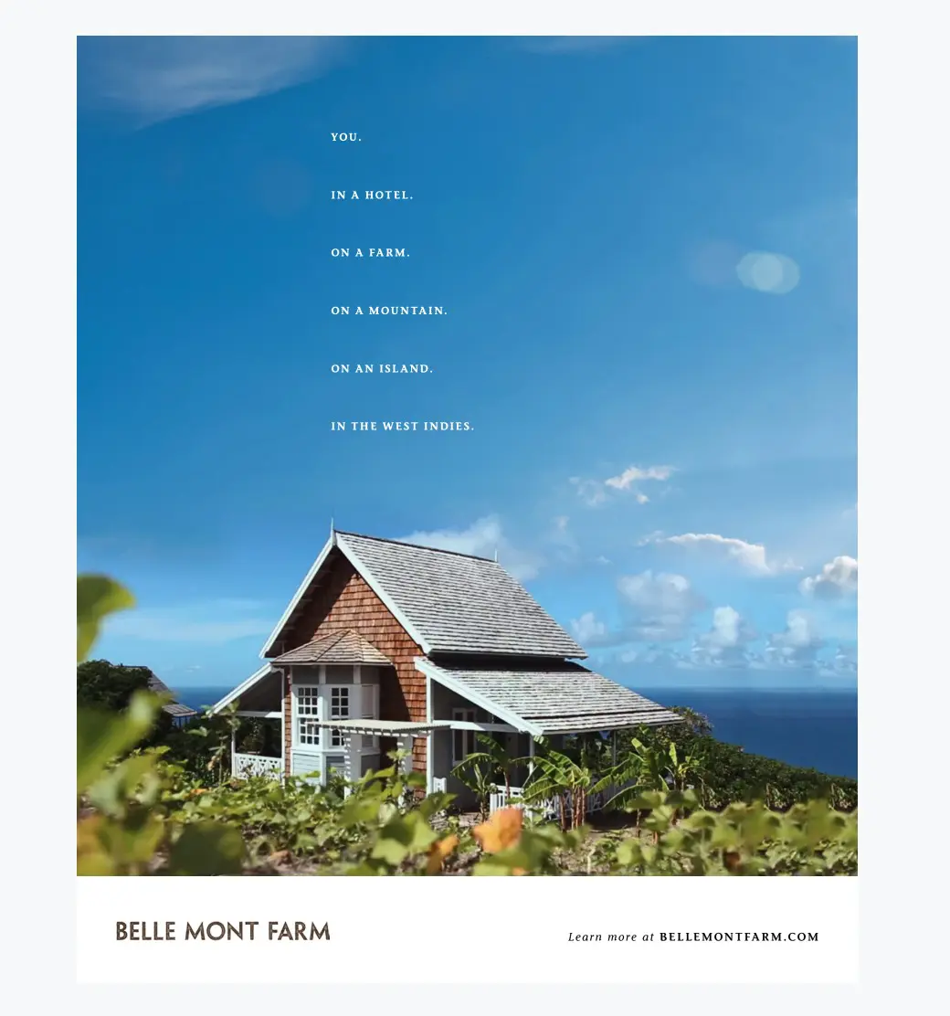 BELLE MONT FARM